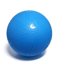 The Pregnancy Ball